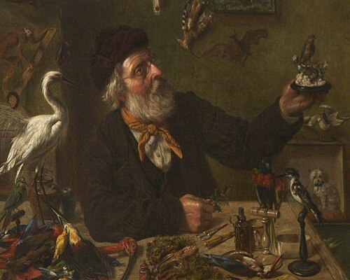 Taxidermist, , John Templeton Lucas