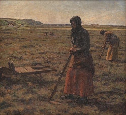 Kvinder hakker lyng, 1906, Jens Vige