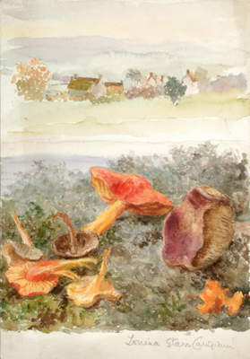 Fungi and Landscape, 1897, Louisa Starr