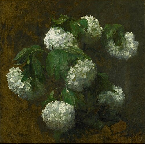 White Hydrangeas, , Victoria Dubourg