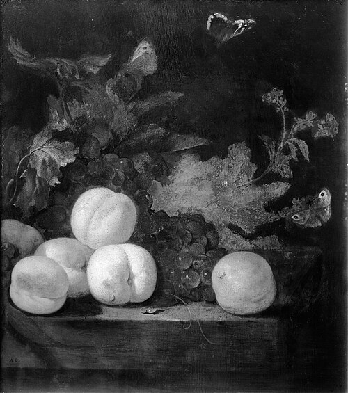 Vruchtenstilleven met perziken, 1689, Abraham van Calraet