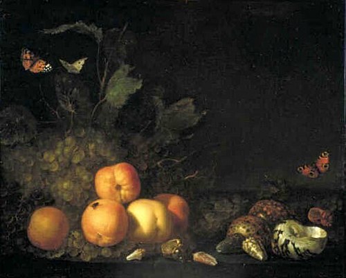 Still Life with Fruit and Shells, 1689, Abraham van Calraet