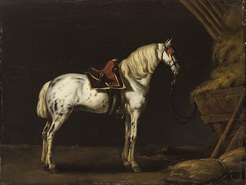 White Horse in a Stable, , Abraham van Calraet