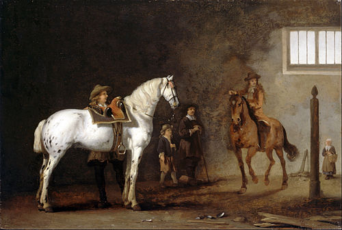 White Horse in a Riding School, 1722, Abraham van Calraet