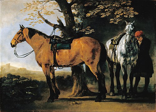 Two Horse, 1722, Abraham van Calraet