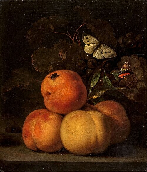 Still Life with Peaches, 1689, Abraham van Calraet