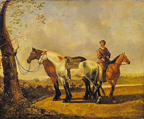 Horses Tied to a Tree, 1675, Abraham van Calraet