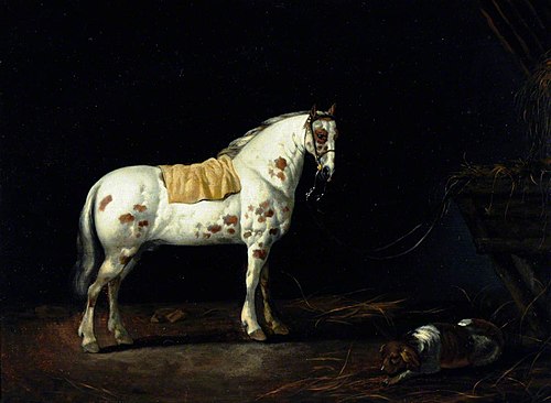 A Dappled Stallion with a Dog in a Stable, 1714, Abraham van Calraet