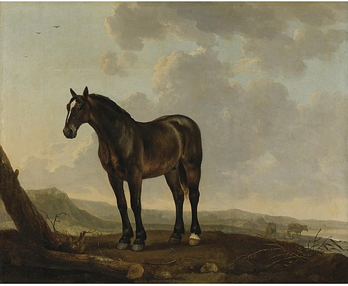 Landscape with a brown horse, 1700, Abraham van Calraet