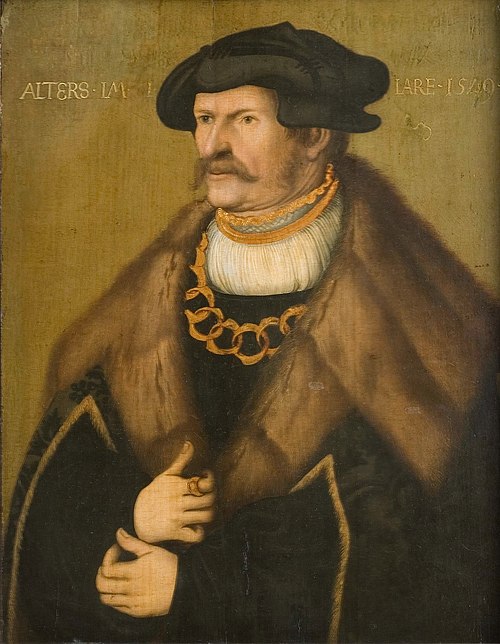 Portrait of a Nobleman (Possibly a Member of the Solms Family), 1520, Hans Döring