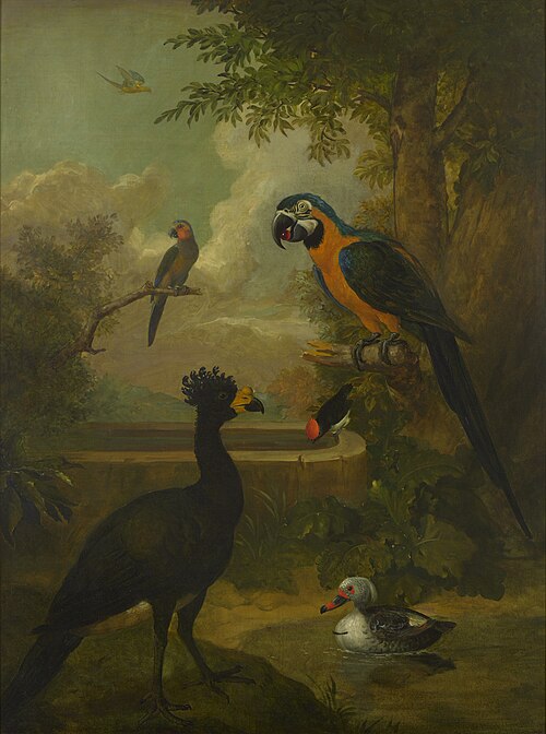Macaw and Other Birds in a Landscape, 1750, Tobias Stranover