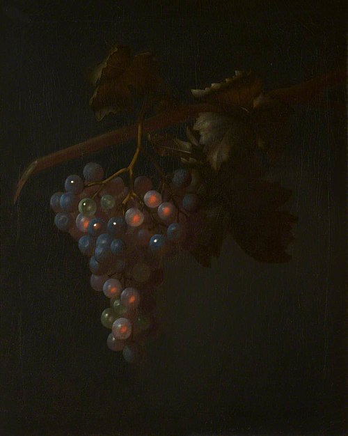 A Bunch of Grapes, 1717, Tobias Stranover