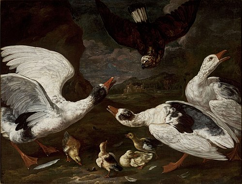 Faucon et oies., 1700, Johann Baptiste Bouttats