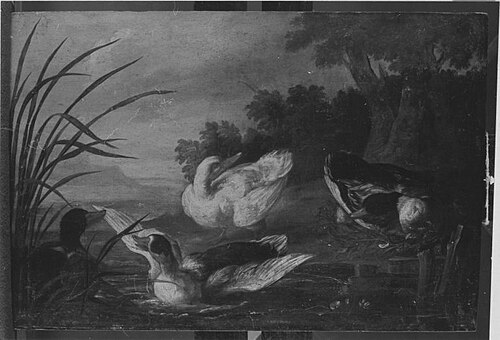 Enten am Gewässer, 1722, Johann Baptiste Bouttats