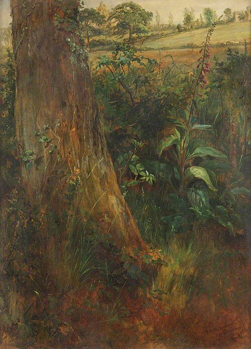 Tree Trunk and Foxglove, 1840, Frederick Henry Henshaw