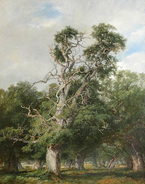 An Old Oak, Forest of Arden, 1850, Frederick Henry Henshaw