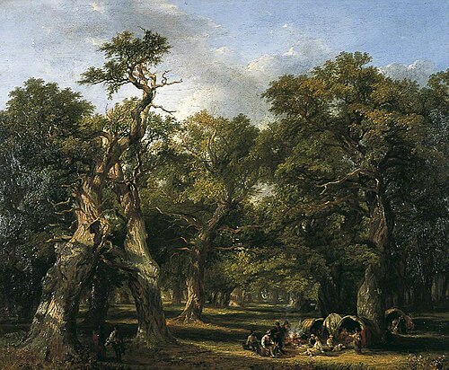 A Forest Glade, Arden, Warwickshire, 1844, Frederick Henry Henshaw