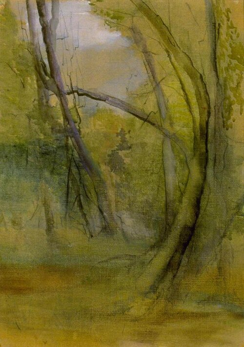 Old Trees, Faeron's Bush, Motueka, 1925, Mina Arndt