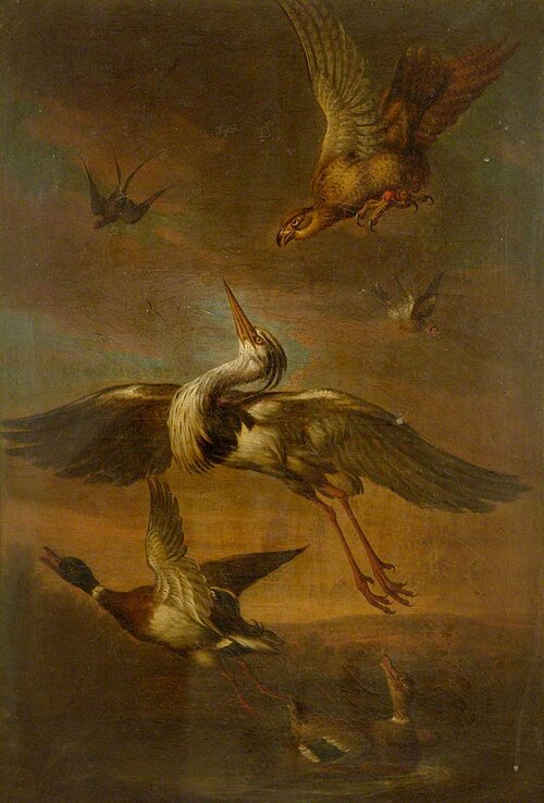 A Hawk Striking at a Heron, , Thomas Stringer