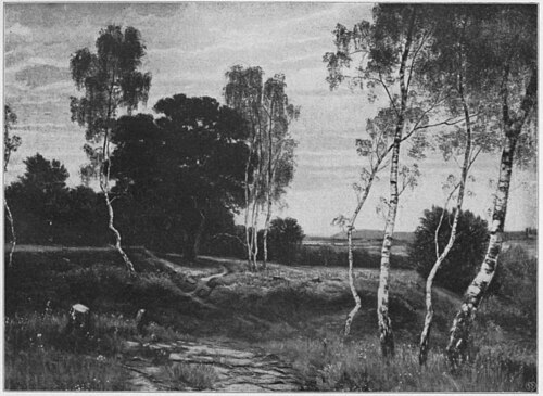 Birken, , Adolf Stäbli