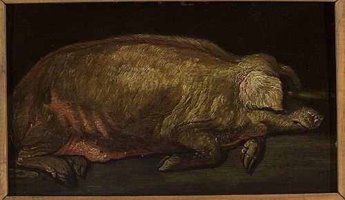 Un Porc dormant., 1700, Adriaen Verdoel