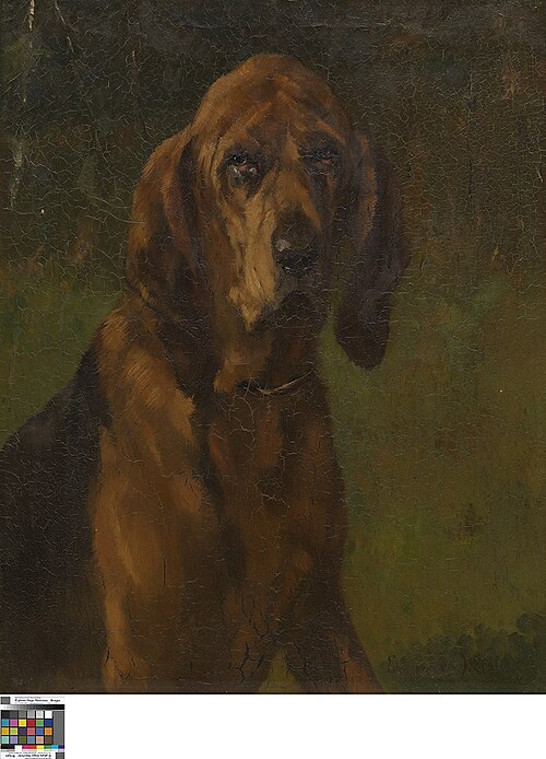Hond van de heilige Hubertus, 1841, Edmond van der Meulen