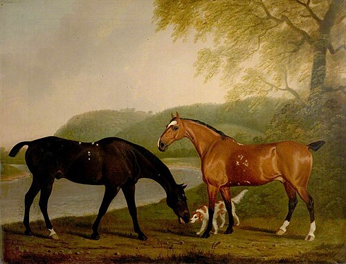 Horses and Dog in a Landscape, 1830, Clifton Tomson