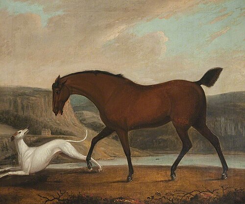 Horse and Greyhound, , Clifton Tomson
