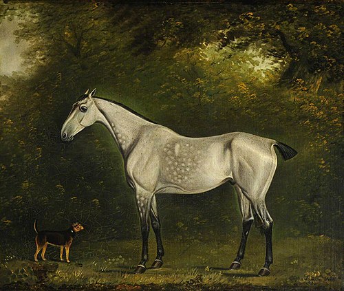 A Dappled Grey Hunter with a Terrier amongst the Trees, 1802, Clifton Tomson