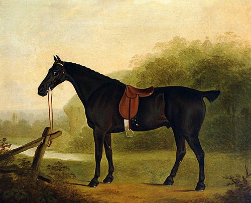 A Saddled Black Hunter in a Landscape, 1804, Clifton Tomson