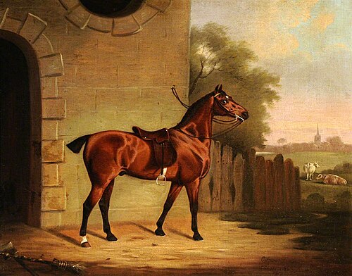 A Saddled Bay Hunter outside a Stable Entrance, 1810, Clifton Tomson