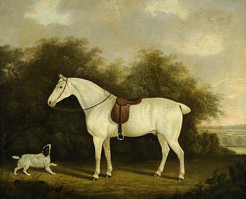 A Saddled Grey Hunter with a Spaniel in a Wooded Landscape, 1824, Clifton Tomson