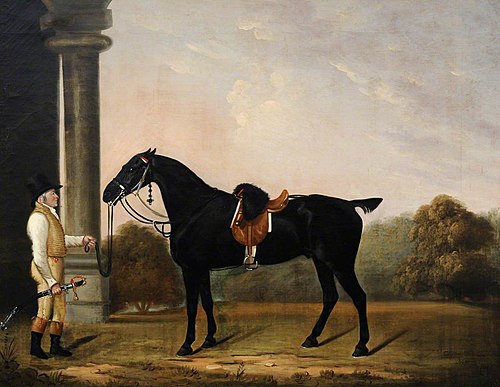 'Sheepface', a Black Charger with Stainsby the Groom, 1810, Clifton Tomson