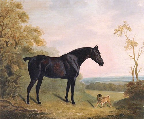 Bay Hunter and Pug Dog in a Landscape, 1814, Clifton Tomson