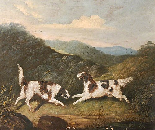 Two Springer Spaniels in a Landscape, 1811, Clifton Tomson