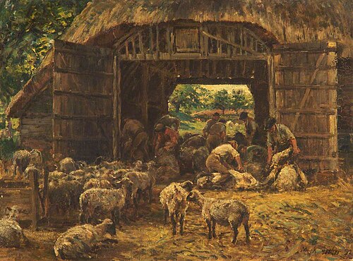 Sheep Shearing, 1892, Mark Fisher