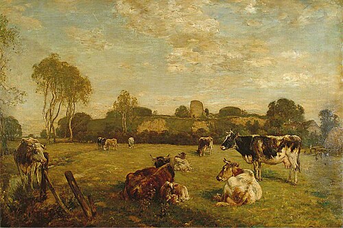 Pevensey Castle, East Sussex, , Mark Fisher