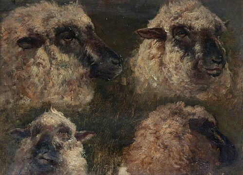 Study of Sheep, , Mark Fisher