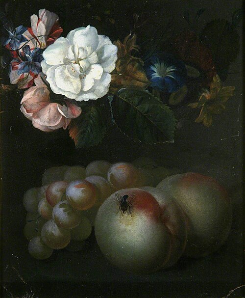 Study of Fruit and Flowers, , Agatha van der Myn