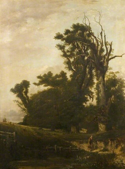 The Withered Elm, Audley End Park, 1849, John Mallows Youngman