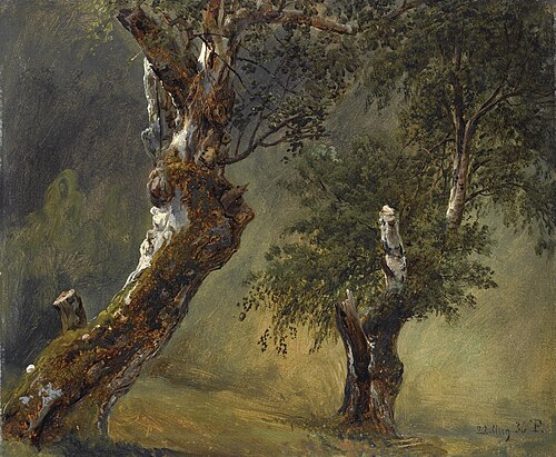 Study of trees, 1836, Thomas Fearnley