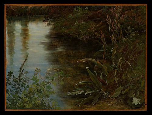 Study of Water and Plants, 1837, Thomas Fearnley