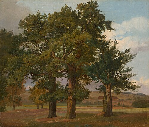 Summer landscape with three old oak trees, 1841, Thomas Fearnley