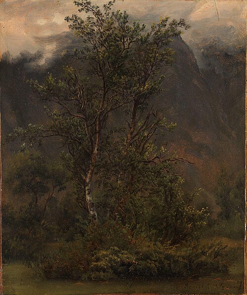 Study of Birches in Romsdal, 1836, Thomas Fearnley