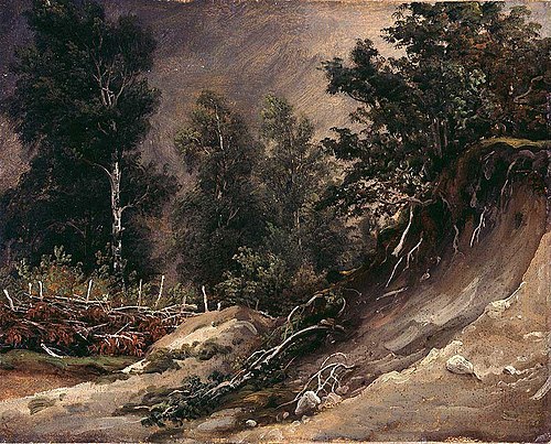 Forest Study from Romsdal, 1836, Thomas Fearnley