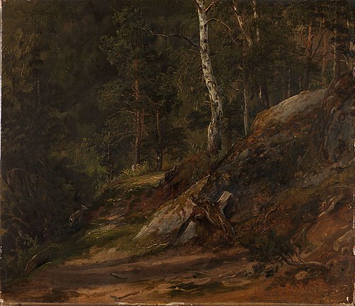 Forest Study from Romsdal, 1836, Thomas Fearnley