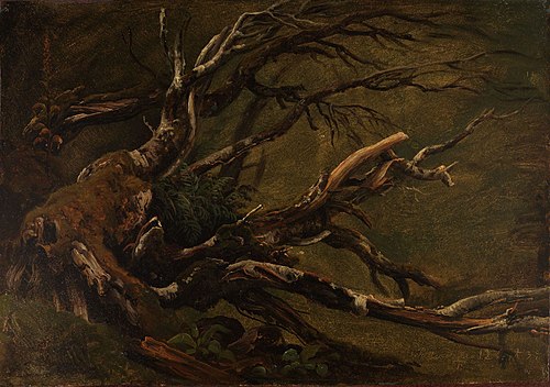 Study of decaying Tree, 1837, Thomas Fearnley
