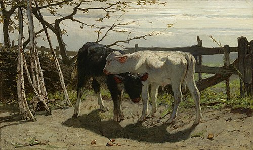 The calves, 1863, Willem Maris