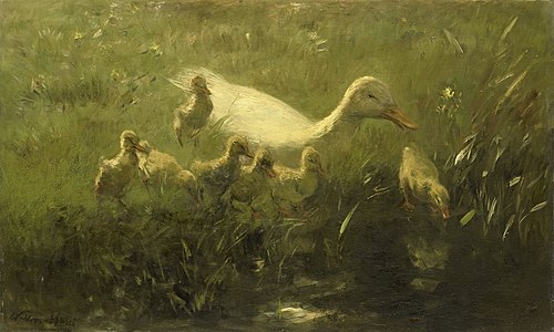 Witte eend met kiekens, 1895, Willem Maris