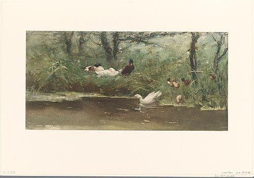 Ducks at the edge of the ditch, 1877, Willem Maris